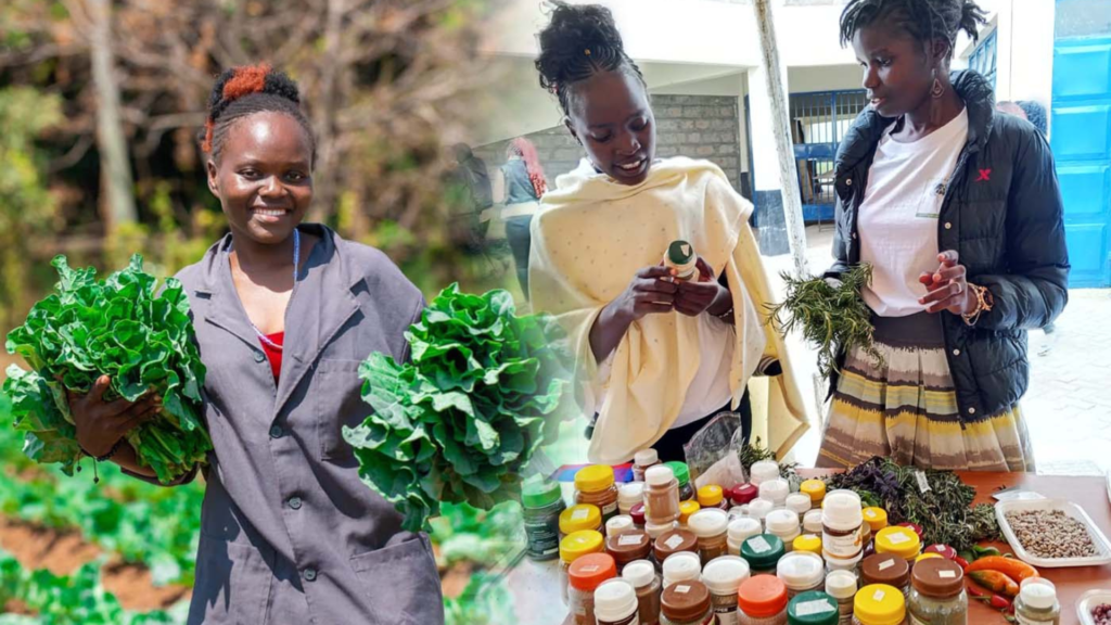 Call for Side Events- Africa Regional Youth Summit on Agroecology