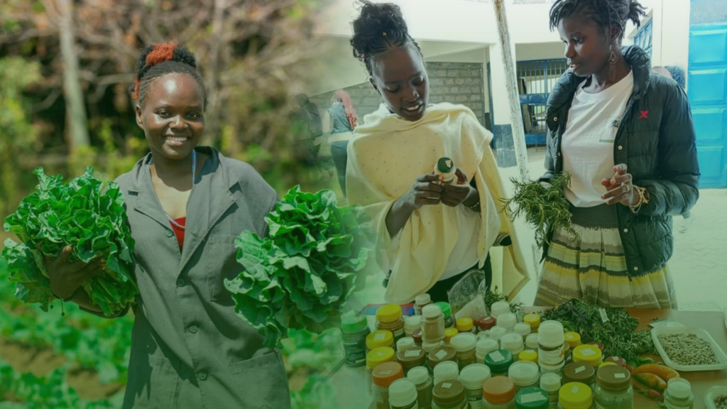 Call for Side Events - Africa Regional Youth Summit on Agroecology & CAADP Kampala