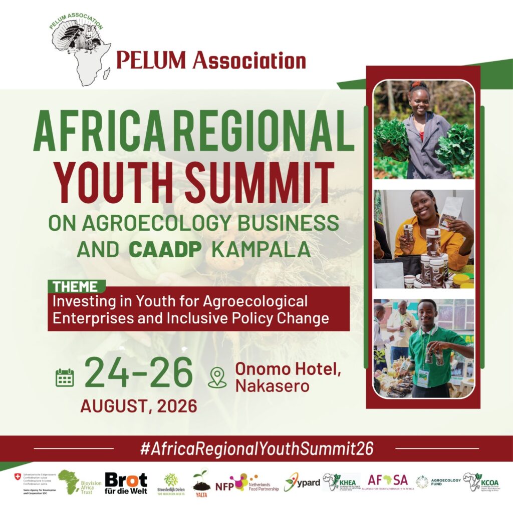 Pelum Event Updates on the Africa Youth Summit